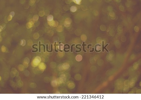 Natural green blurred  in the dark background. Defocused green abstract  background.