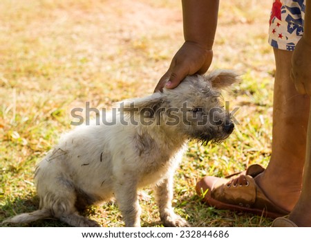 Asian boy play with dirty dog.