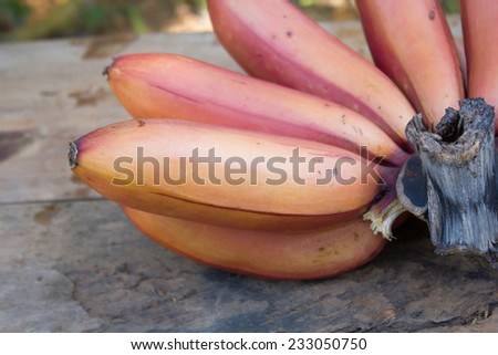 Bunch of red bananas fruit.