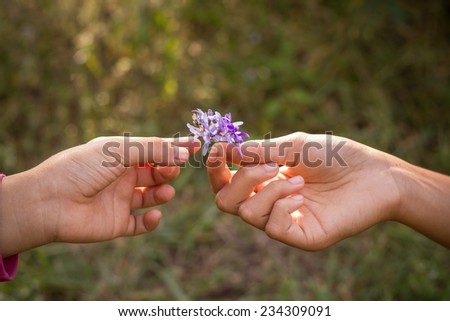 Dirty hands giving a small purple flower to friend.