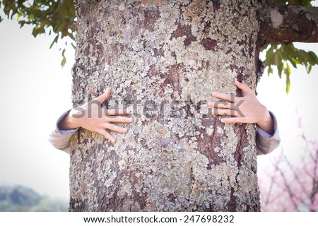 Tree hugging. Close-up of hands hugging tree. Protect - love ecology concept.