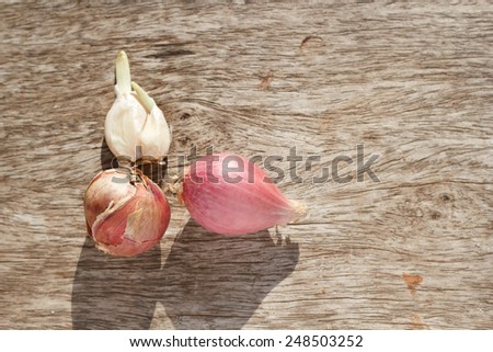 Red onion on wood table, Spice on wooden background.