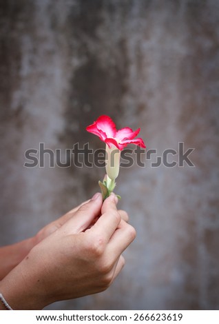 giving a flower.
