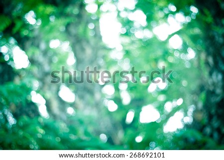 Natural green blurred background. Defocused green abstract background.