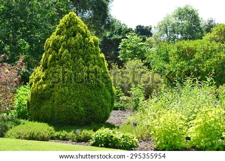 An English country garden in summertime