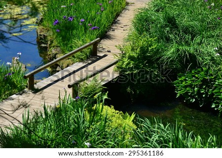 A pond at an English country estate in summertime
