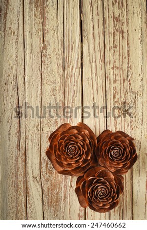 three open cedar cones like roses on aged wood background