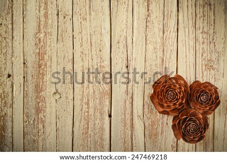 three open cedar cones, like roses, on aged light wood background