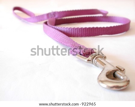 clipart dog leash. stock photo : purple dog leash