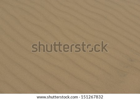 Brown sand texture on the dunes of the desert