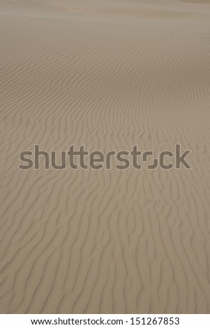 Brown sand texture on the dunes of the desert