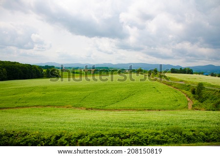 Hokkaido landscape : field for agriculture in the mountain in cloudy day Hokkaido Japan