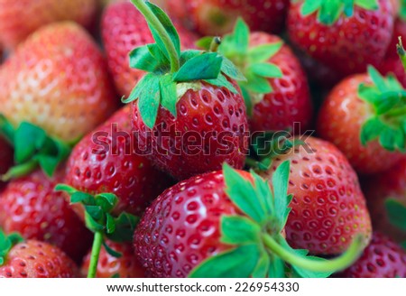 Fresh Organic Strawberries macro closeup background