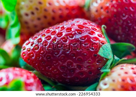 Fresh organic strawberries macro closeup background