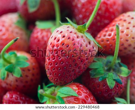 Red organic strawberries macro background