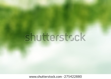 Blur defocused mist water effect  of green gradient  background