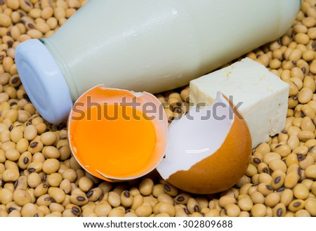 Source of Protein : Cold soy in bottle milk ,tofu and hen egg  on soy beans background
