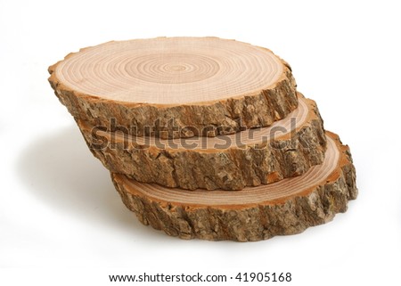 Cross sections of tree trunk showing growth rings on white  background
