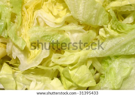 abstract photo of shredded lettuce