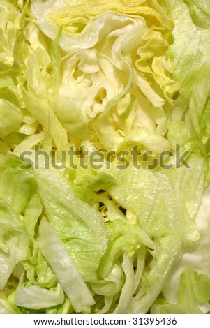 abstract photo of shredded lettuce