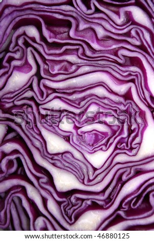 abstract photo of red cabbage