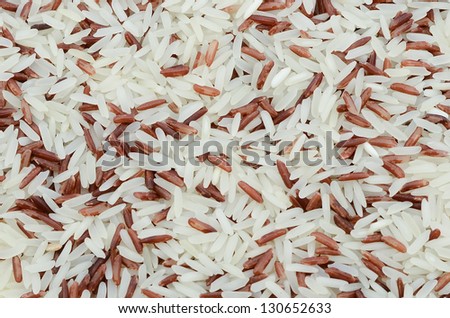 Organic close-up grain crop food eating/Rice backdrop