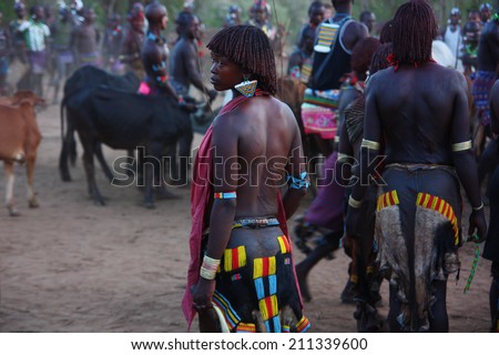 Omo Valley, Ethiopia - April 11, 2009: Hamar men come of age by leaping over a line of cattle. Their female relatives demand to be whipped as part of the ceremony to strengthen the bond between them.