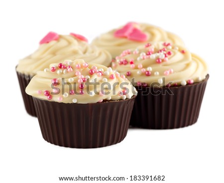 group of chocolate cupcakes on a white background