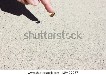 ladybug on a child\'s finger hanging on the tip