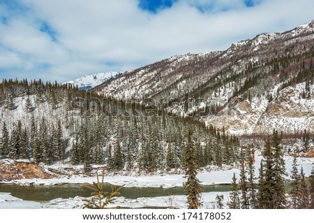 Denali National Park, spruce forest and spring snow. river ice breaking up.