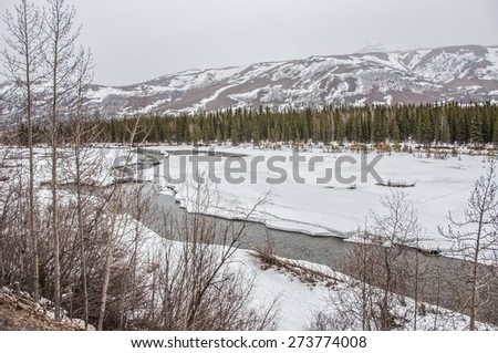 Spring melt, Alaska river, snow covered Alaska Range, spruce trees.