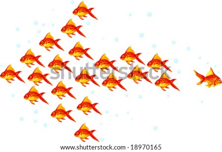 goldfish. goldfish forming an arrow