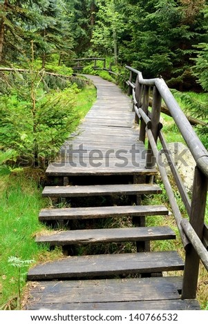 wooden path through the forest in Czech Republic