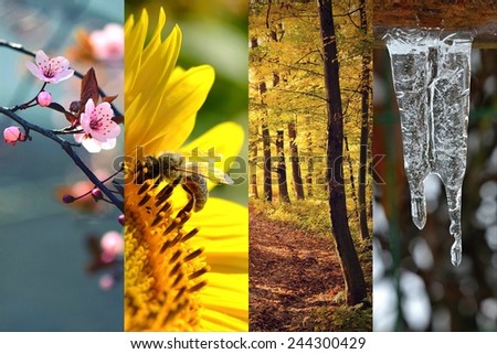Four seasons collage: Spring, Summer, Autumn, Winter.
