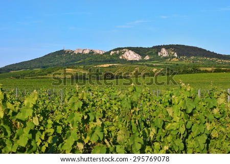 Palava wine region of southern Moravia Czech Republic