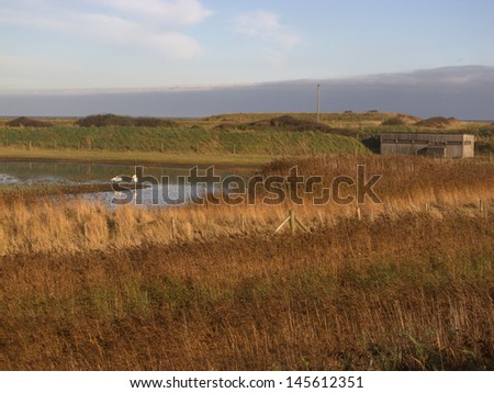 Canal scrape and hide, Spurn Point, East Yorkshire, November 2011