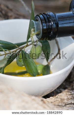 Bowl with olive oil and a branch of an olive tree, shallow dof  with beautiful bokeh.