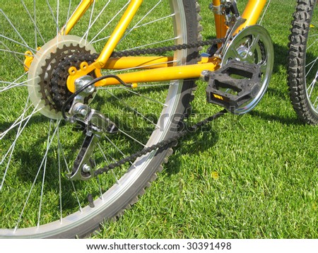The bike chain belt - rag wheel block and chain