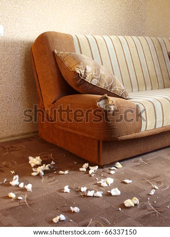 Sofa damaged by dog teeth made hole