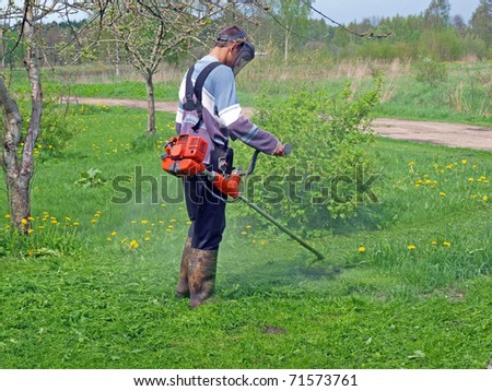 Cutting grass in garden with the trimmer