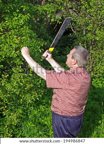 Elderly country farmer cut the bush with machete