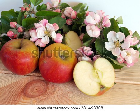 Ripe apples whole and half sliced and branch with blossoms