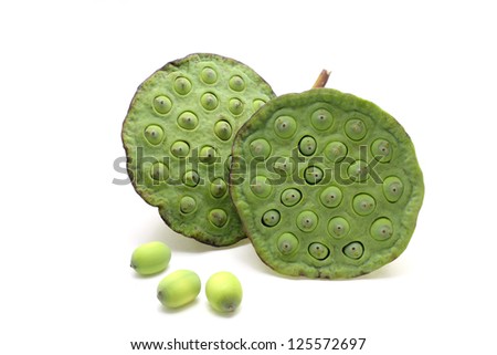 Lotus seed isolate White background 3