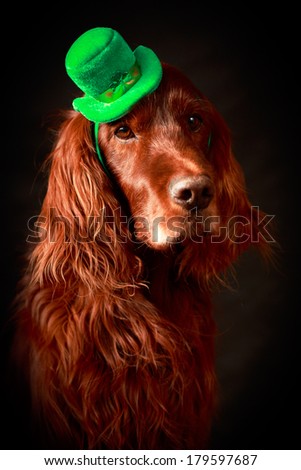 irish dog in st.patrick hat