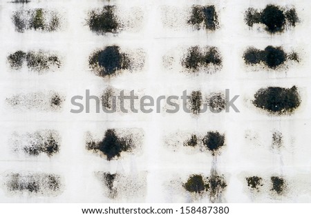 Black mold on cement board.