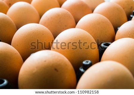 Eggs in the black package