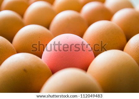 One pink egg and orange in the black package