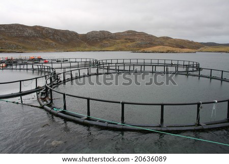 Empty salmon cages brought in for a clean out.