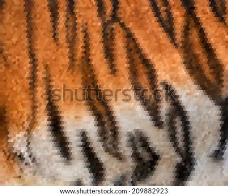 Colorful abstract texture of Siberian tigress with orange, black and white stripes. Beautiful tiger fur. An example of natural drawing. Animal print.