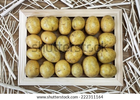 Beautiful decoration with frame of fresh potatoes on raw wooden background. Image of natural materials. Eco style.